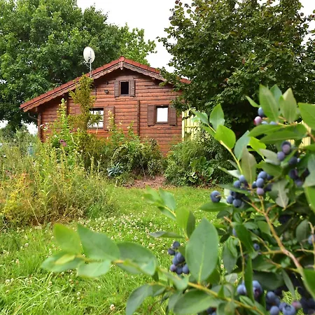 Charmantes Mit Eigenem Garten * Niederaula