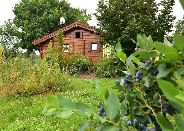 Charmantes Mit Eigenem Garten * Niederaula